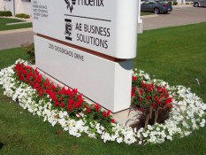 Flowers Around Commercial Building Sign