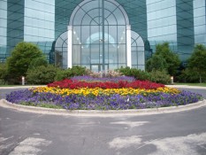 Flowers In Front Of Commercial Building