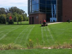 Mowed Lawn Outside Commercial Building