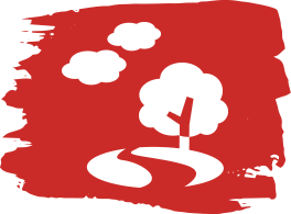 Landscaping Design and Install