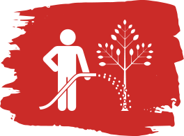 Tree Shrub Maintenance